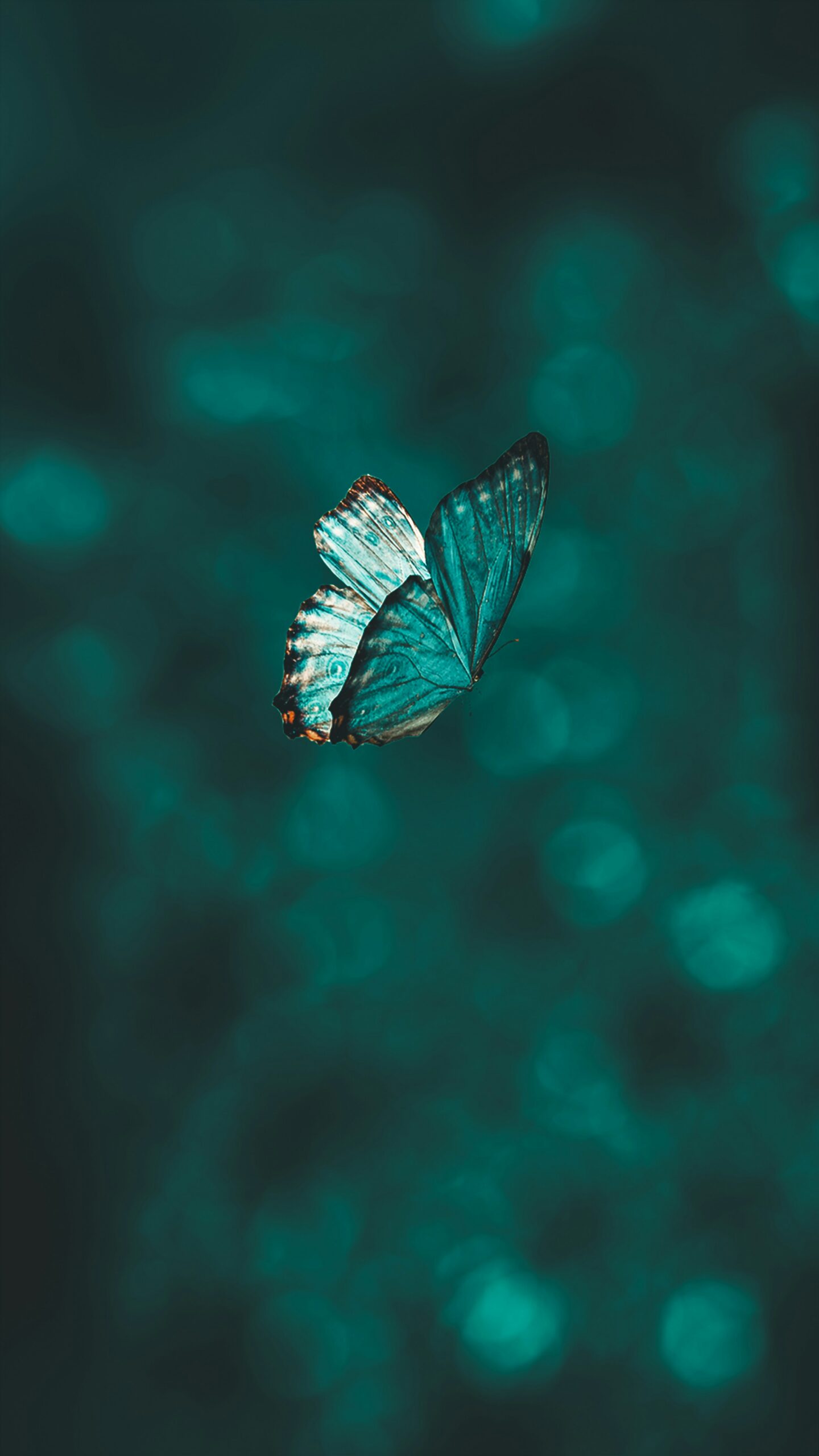 Transformation Transformation