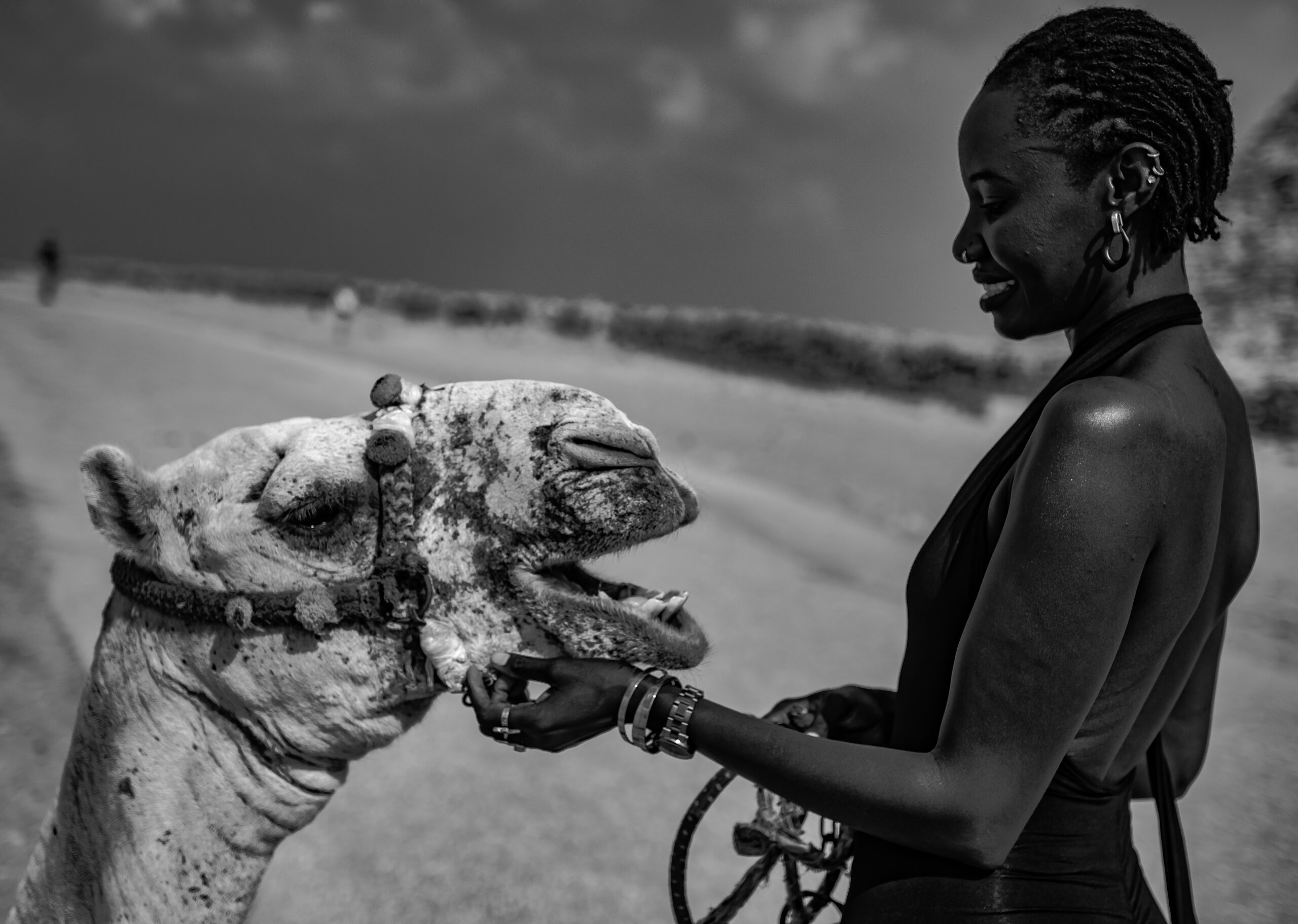 Africa Africa